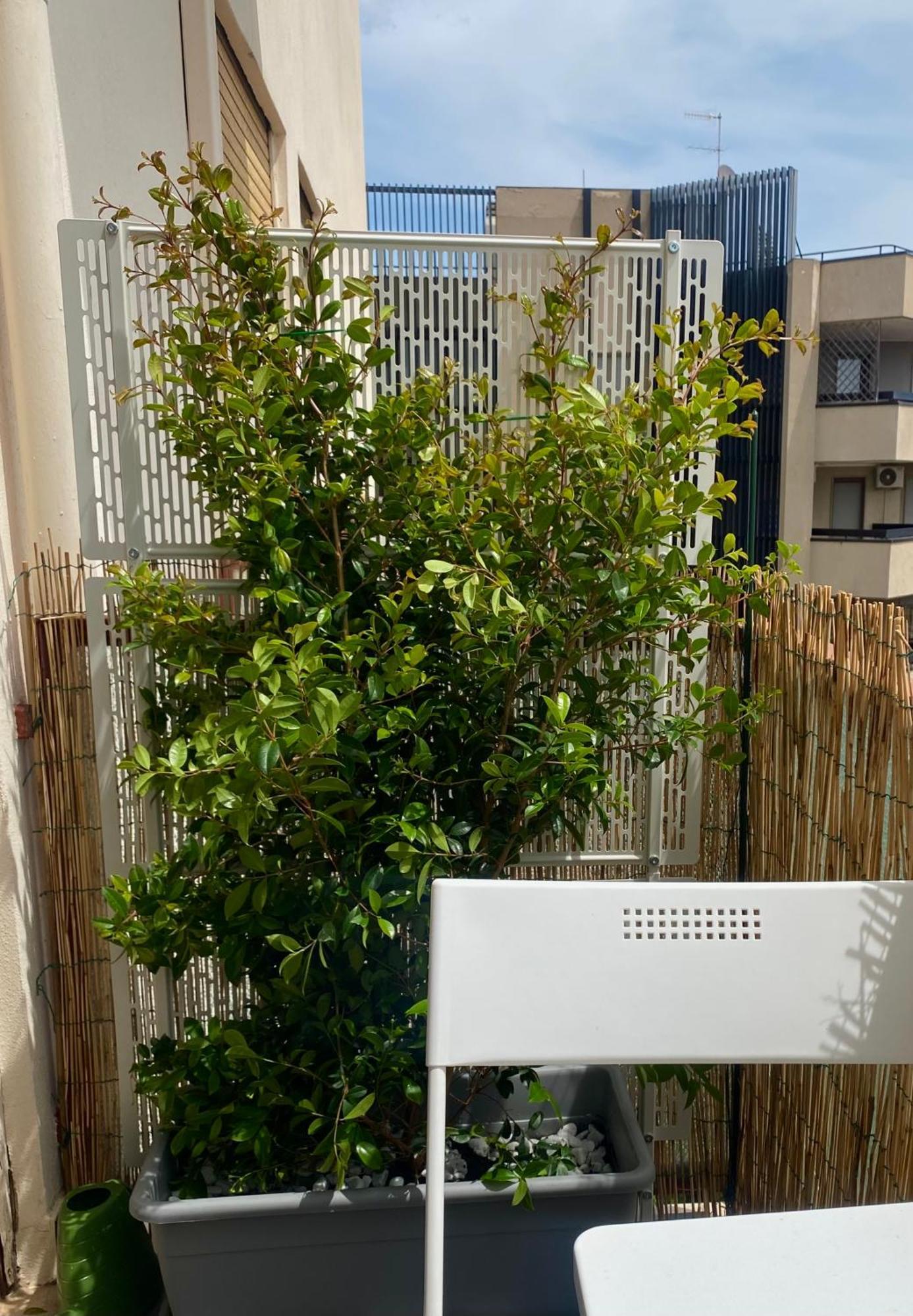 Via Roma a un passo dalle università! Sássari Exterior foto